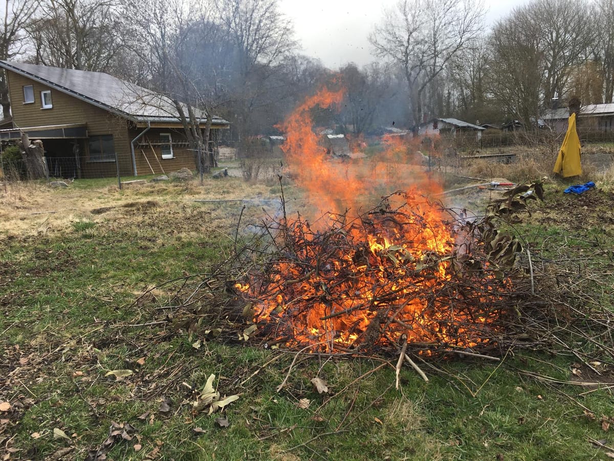 Tag 5 — Der Geist findet den Körper