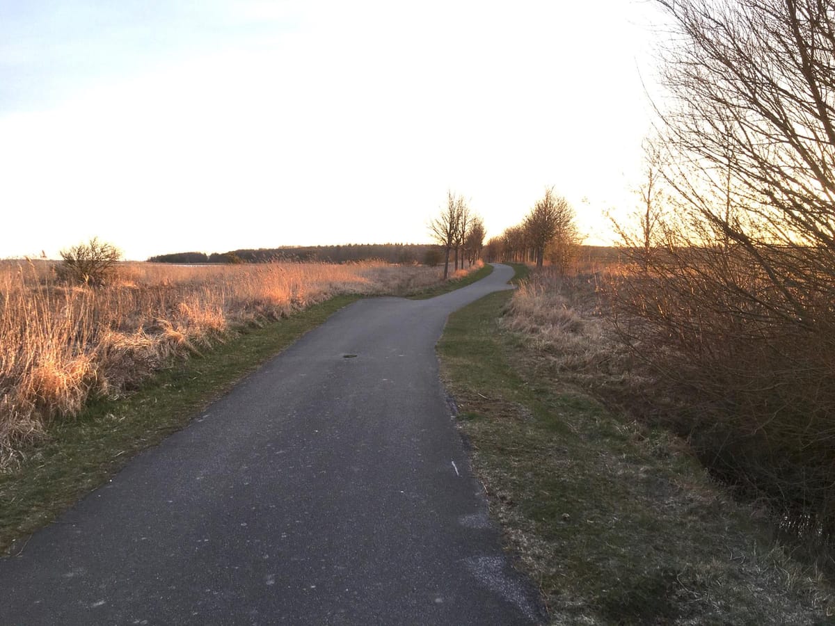 Tag 15 — Der gewundene Weg