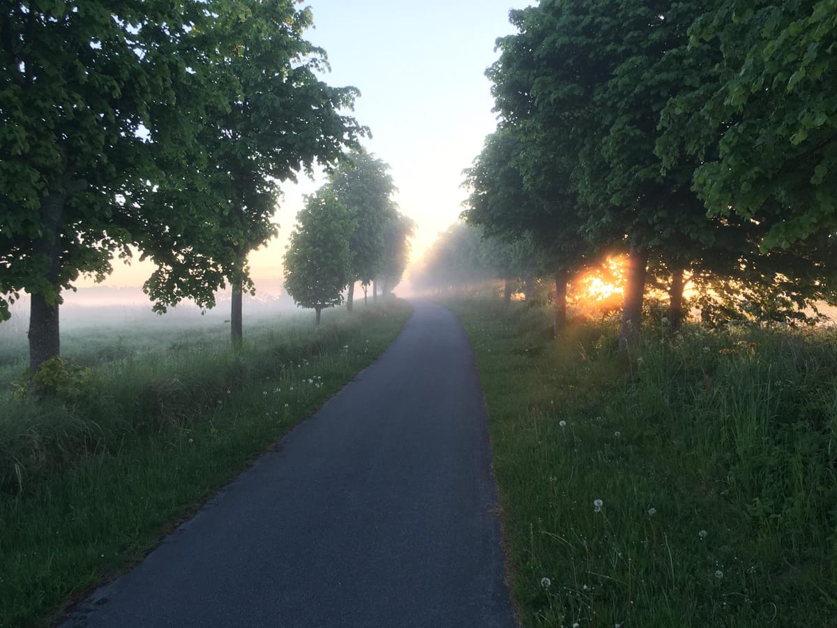 Schon hier