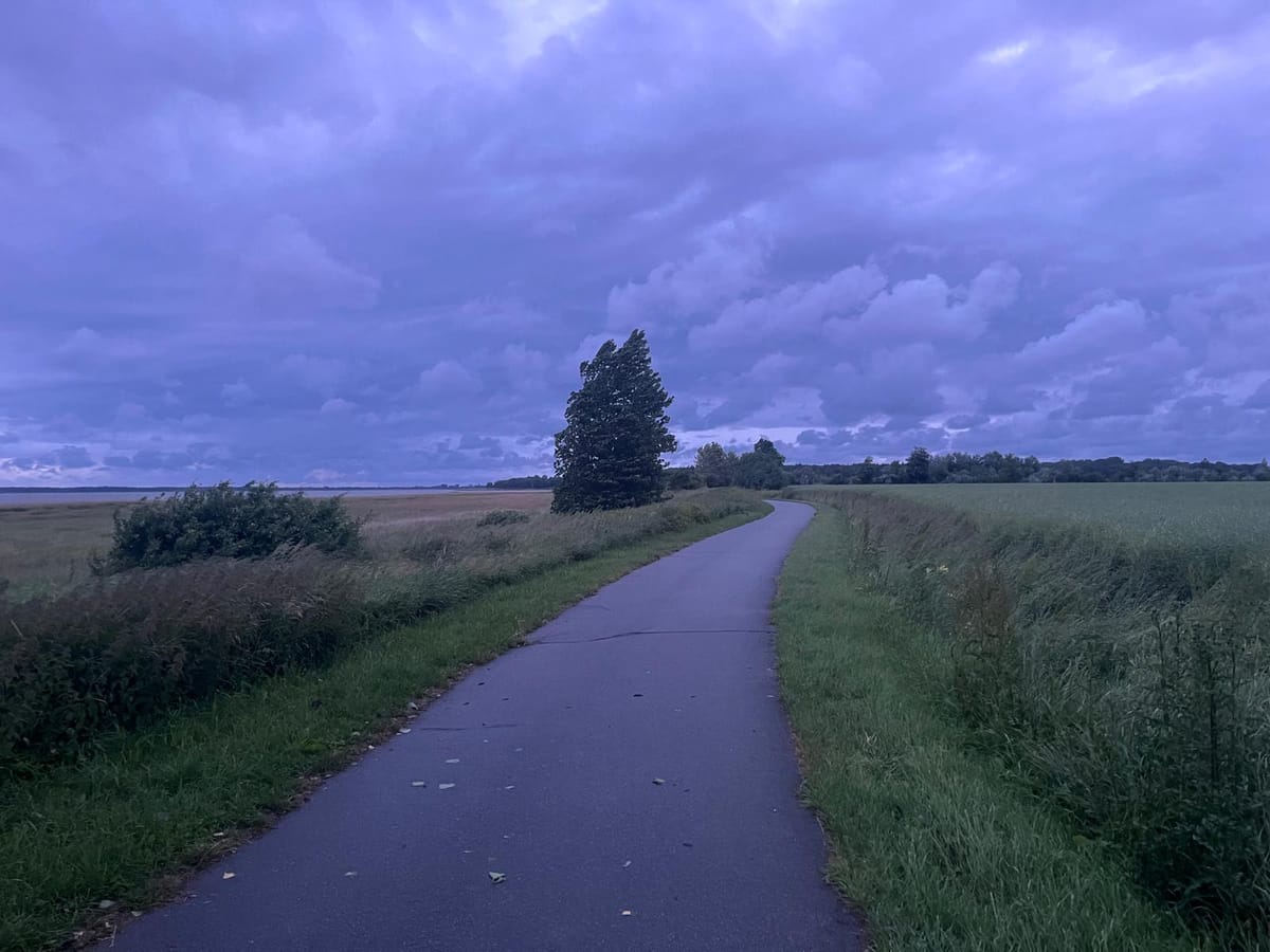 Der Westwind, hin und zurück