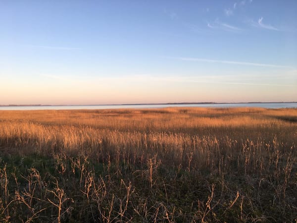 Does the Landscape Speak, or Do I Read It?