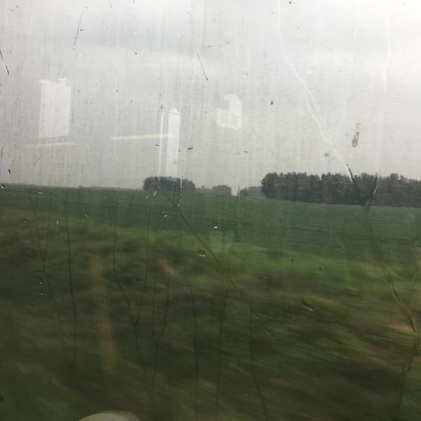 Der Weg zurück